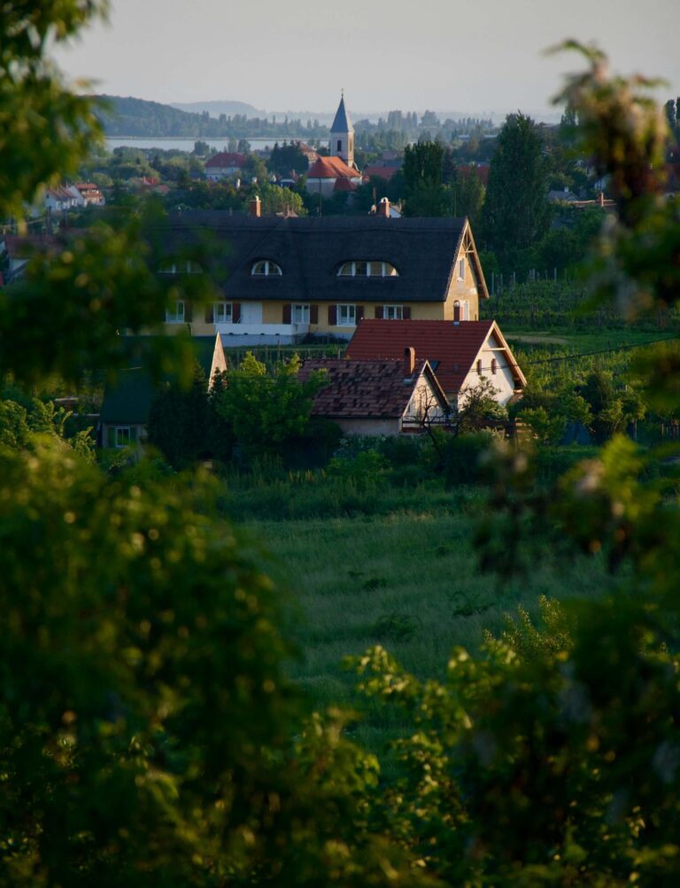 mihaly-koles-RQuevJi7KJU-unsplash (1)